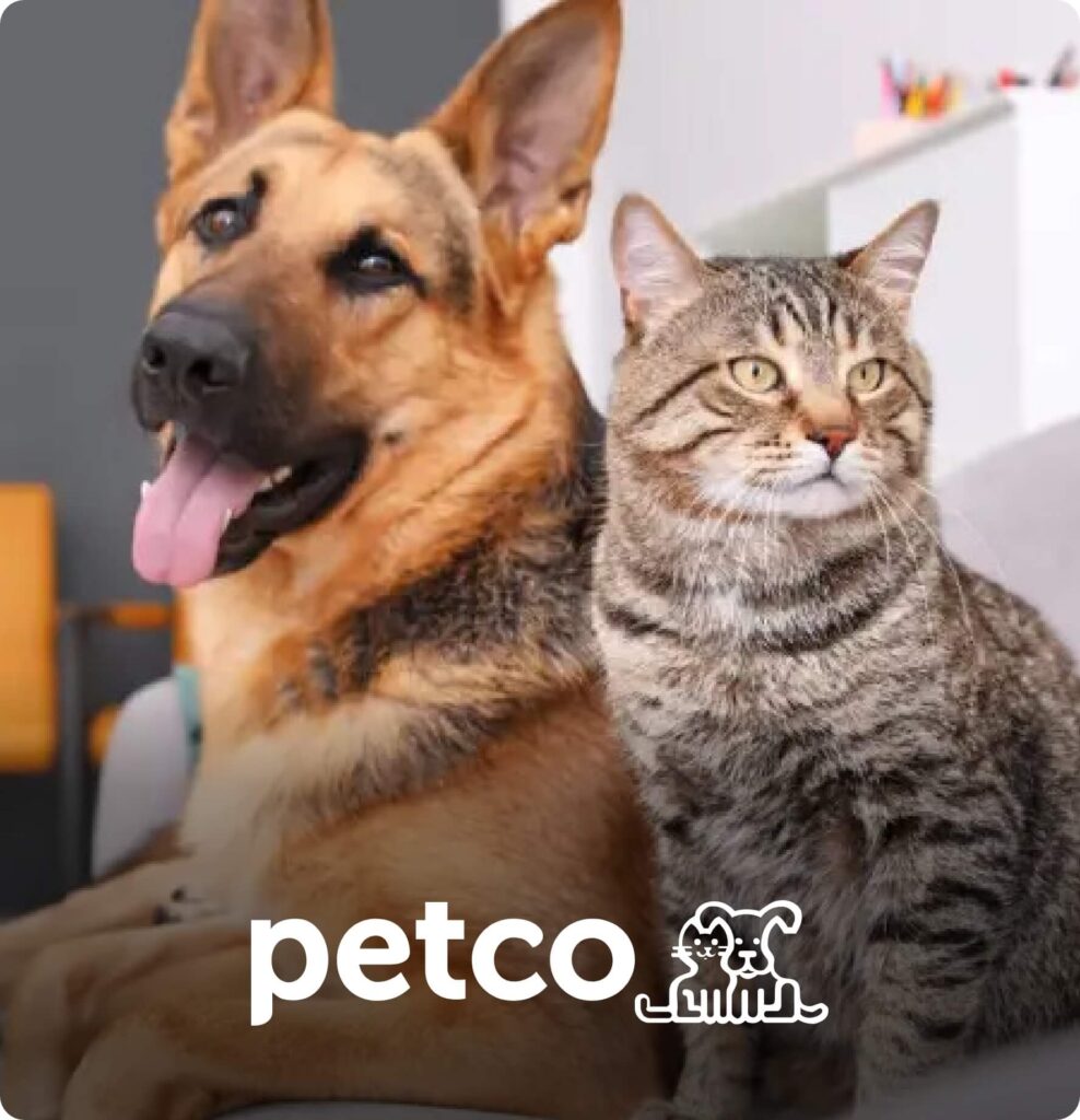 petco case study